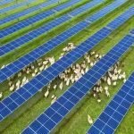The Promising Future and Benefits of Installing Solar Trackers on Farms